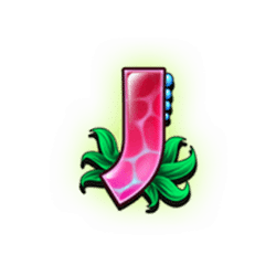 Icon 9 Lucky Dolphin