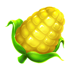 Icon 3 Wild Marmalade