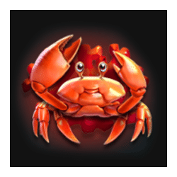 Icon 2 Dolphin Riches Hold and Win