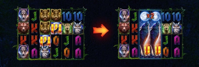 Expanding Wilds multiply