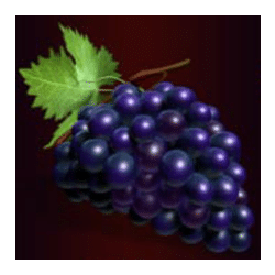 Icon 4 5 Burning Heart