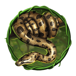 Icon 5 Panther Queen