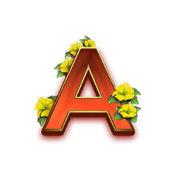 Icon 7 Winfall in Paradise