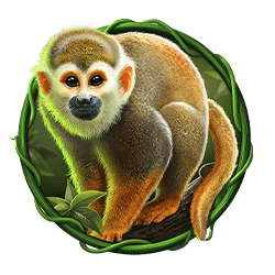 Icon 3 Panther Queen