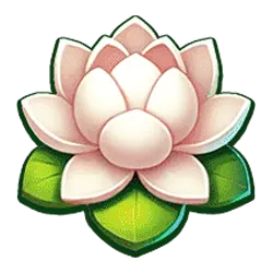 Icon 8 Lucky Year 25