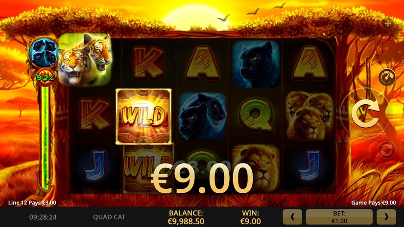 Quad Cat slot screen 4
