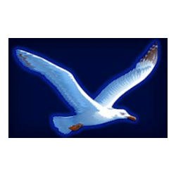 Icon 6 Flying Dutchman