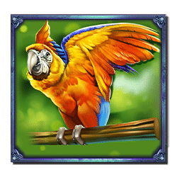 Icon 3 Pirate Gold Deluxe