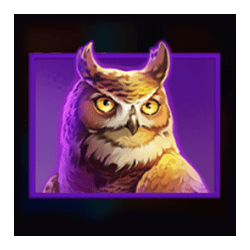 Icon 5 Wolf Power Megaways