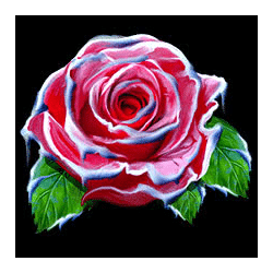 Icon 5 Arctic Enchantress