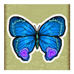 Icon 4 Crazy Monkey 2