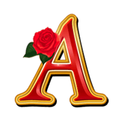 Icon 8 Starlight Kiss