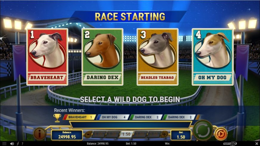 Wildhound Derby slot screen 3