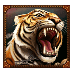 Wild Symbol of Game of Gladiators Slot