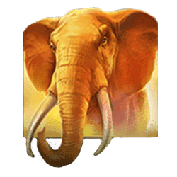 Icon 1 Mighty Africa