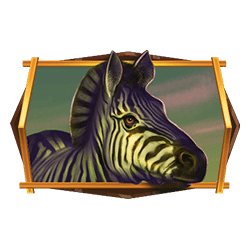 Icon 6 African Quest