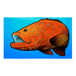 Icon 2 Dolphin Coast