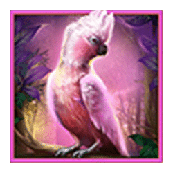 Icon 1 Outback Gold: Hold & Win