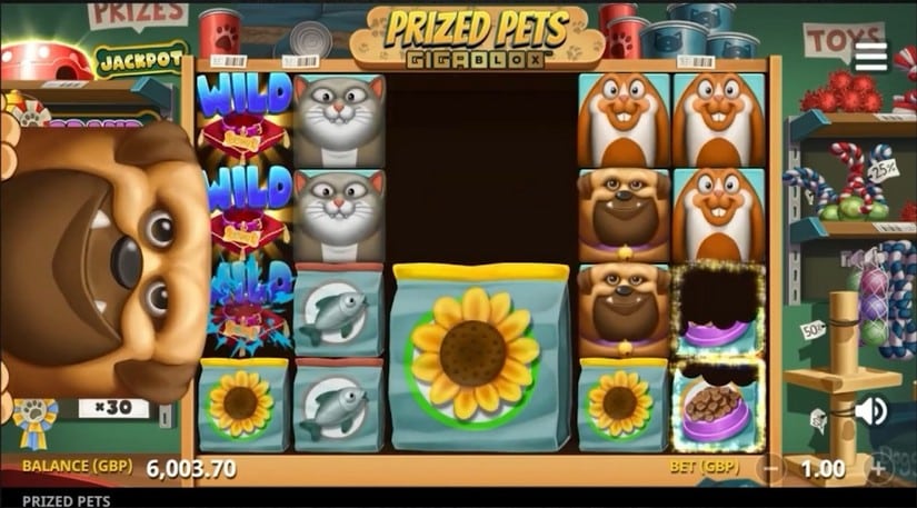 Prized Pets Gigablox slot screen 4