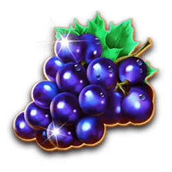 Icon 2 Mega Wild Fruits – Xmas