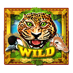 Wild Symbol of Africa Gold Slot