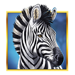 Icon 5 Serengeti Sunset