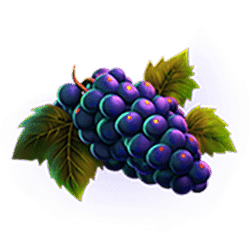 Icon 3 Fire’n’Frenzy 5