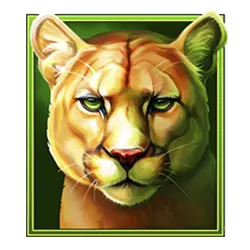 Icon 3 Winter Thunder