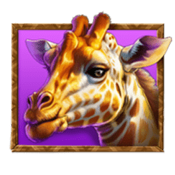 Icon 5 Stampede Gold