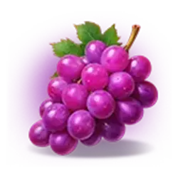 Icon 4 Fortune Coins 2