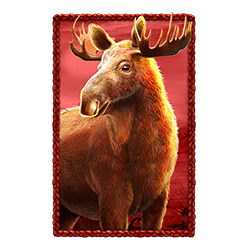 Icon 5 Buffalo King Megaways