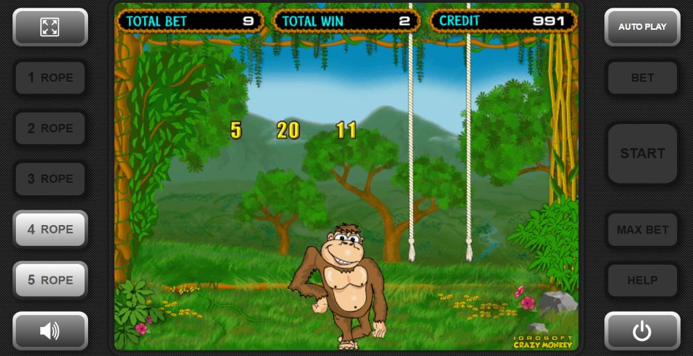 Crazy Monkey slot features