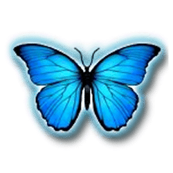 Icon 1 3 Butterflies