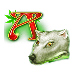 Icon 7 7 Days Anotherland