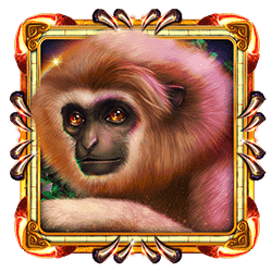 Icon 2 Book Of Panther Wild Dawn