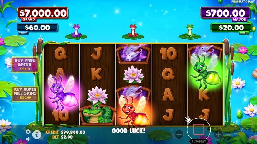 Tiny Toads slot screen 3
