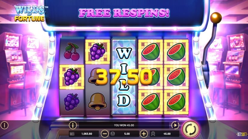 Wilds of Fortune slot screen 5
