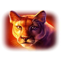 Icon 3 Buffalo Thunderstacks