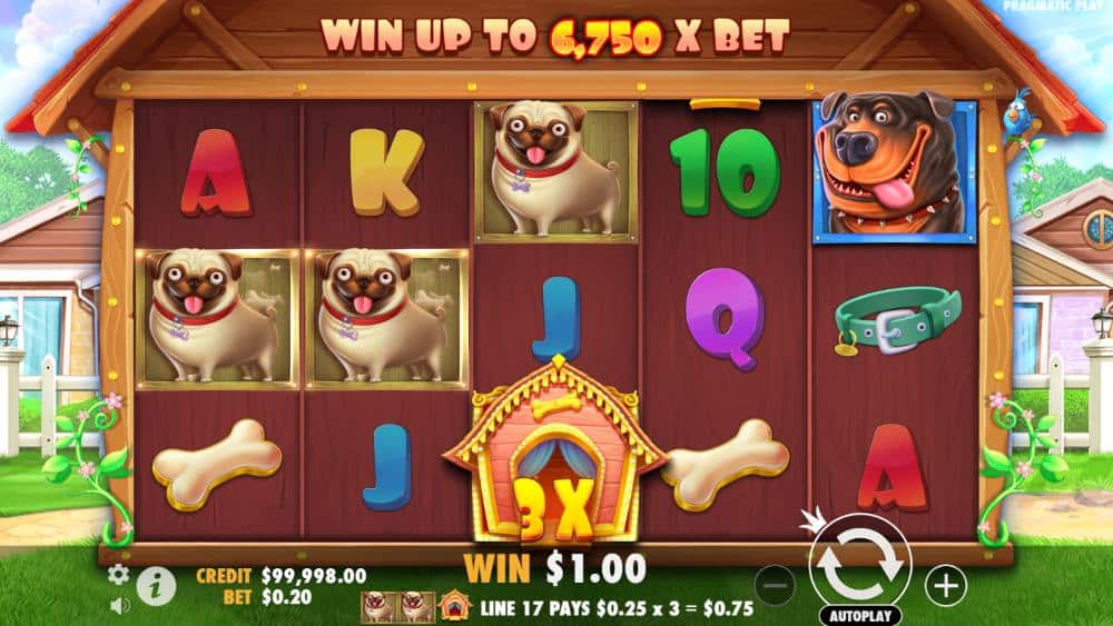 The Dog House slot review