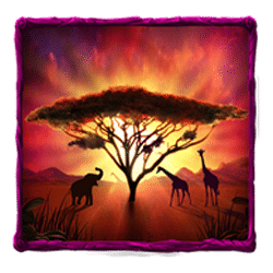 Scatter of Safari Sam 2 Slot
