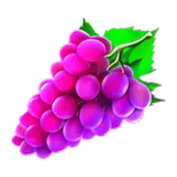 Icon 3 Cash’n Fruits 243 X