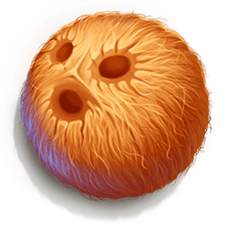 Icon 6 Tropical Tiki