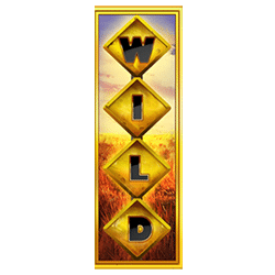 Wild Symbol of Outback Gold: Hold & Win Slot