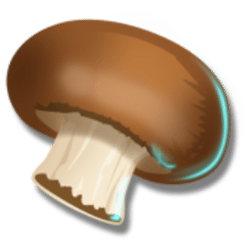 Icon 9 Forest Fortune