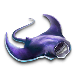 Icon 4 6 Wild Sharks