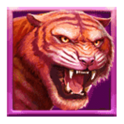 Icon 3 Jungle Reveal