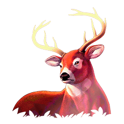 Icon 3 Wild Survivor