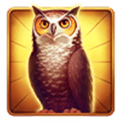 Icon 2 Book of Wizard Double Chance