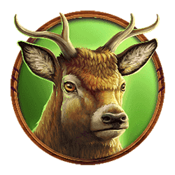 Icon 4 Grizzly Strike Hold and Win