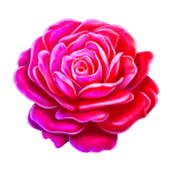 Icon 8 Golden Beauty